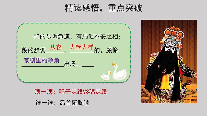 15白鵝參考課件第2課時第7頁