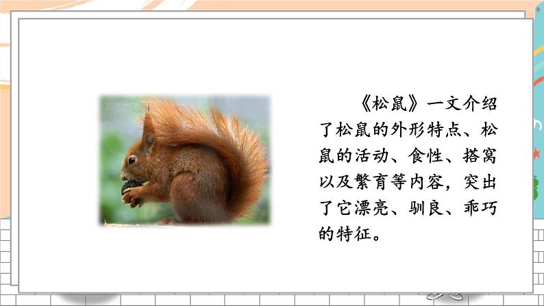 5语上 3-3 习作:介绍事物须清楚 期末复习PPT课件第6页