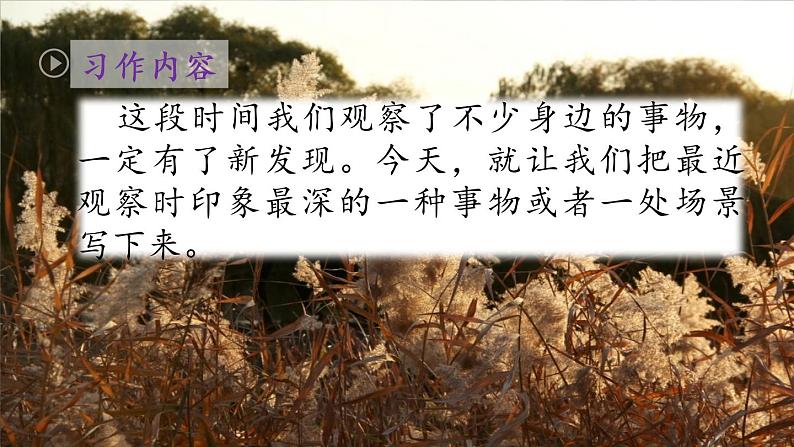 人教部编版语文三年级上册《习作:我们眼中的缤纷世界》课件03