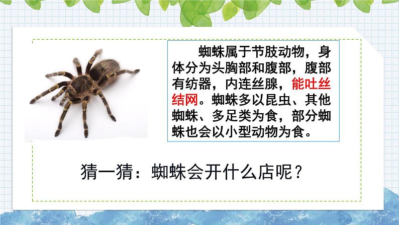 新部编版小学语文二年级下册:蜘蛛开店课件第4页
