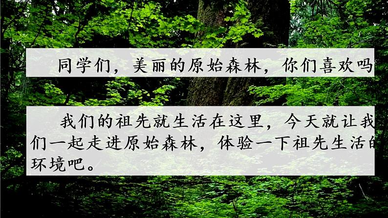 新部编版小学语文二年级下册:祖先的摇篮课件第1页