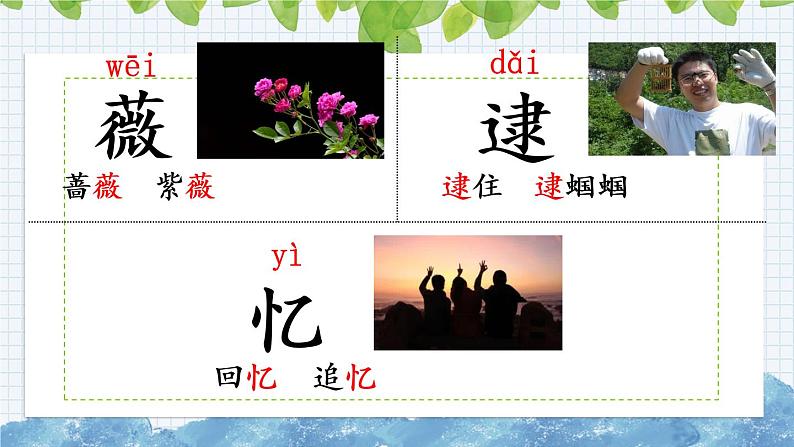 新部编版小学语文二年级下册:祖先的摇篮课件第7页