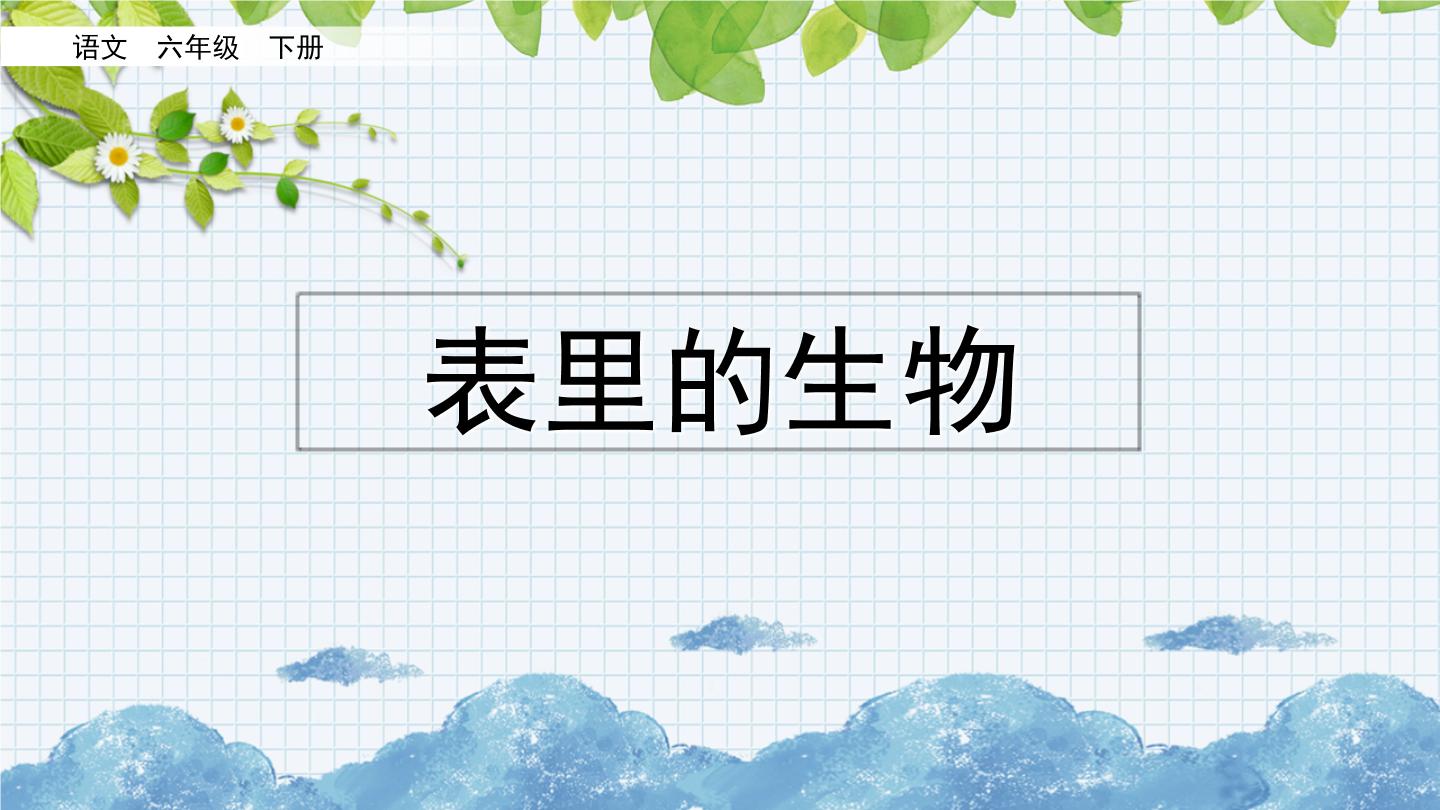 语文六年级下册15 表里的生物教案配套课件ppt