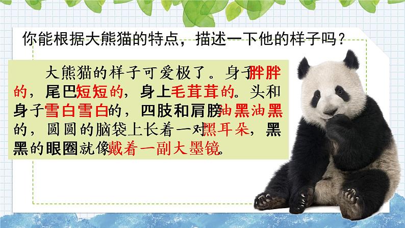 新部编版小学语文三年级下册:习作:国宝大熊猫课件第7页