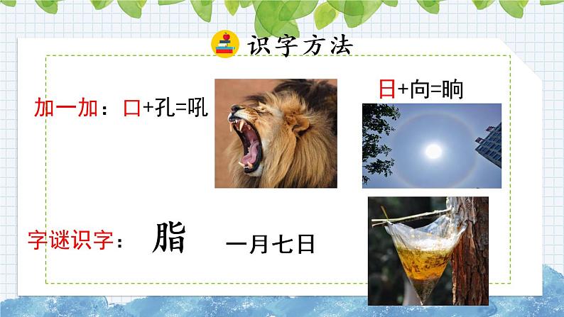 新部编版小学语文四年级下册课件:琥珀第8页