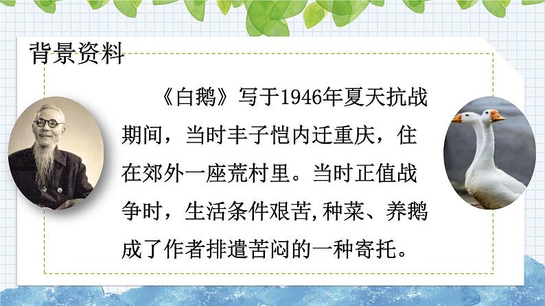 新部编版小学语文四年级下册课件:白鹅课件03