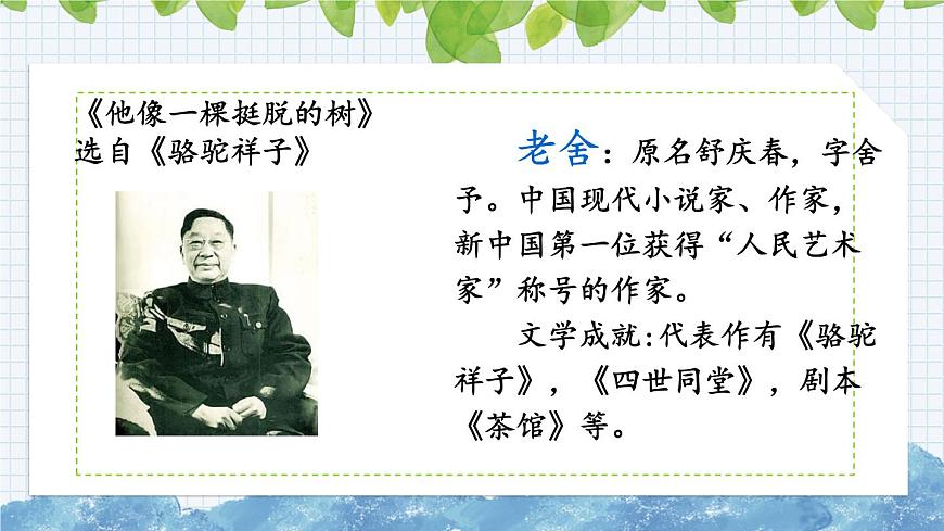 新部編版小學(xué)語文五年級(jí)下冊(cè)課件：人物描寫一組第5頁