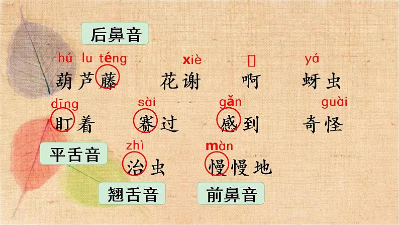 部编版语文二年级上册 14 我要的是葫芦 课件第5页