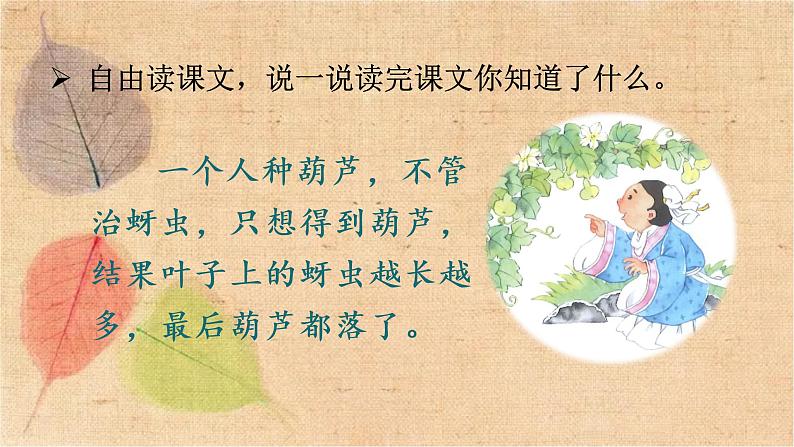 部编版语文二年级上册 14 我要的是葫芦 课件第8页