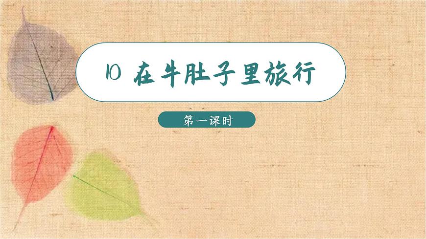 部編版語文三年級(jí)上冊(cè) 10.在牛肚子里旅行 課件第2頁