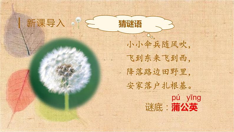 部编版语文三年级上册 16.金色的草地 课件第1页