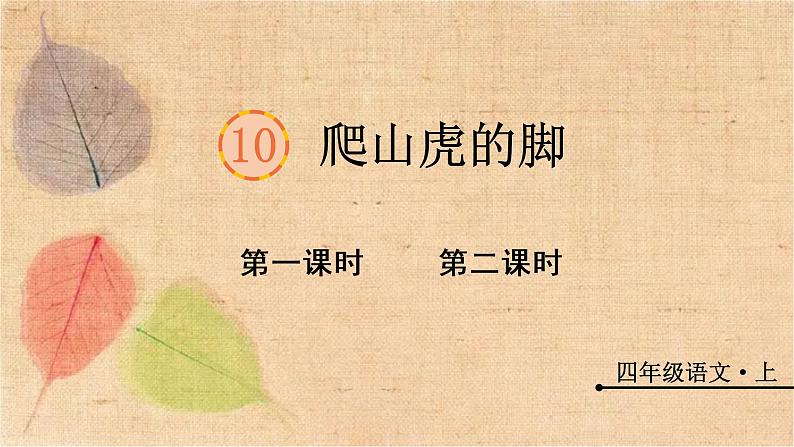 部编版语文四年级上册 10 爬山虎的脚 课件第1页