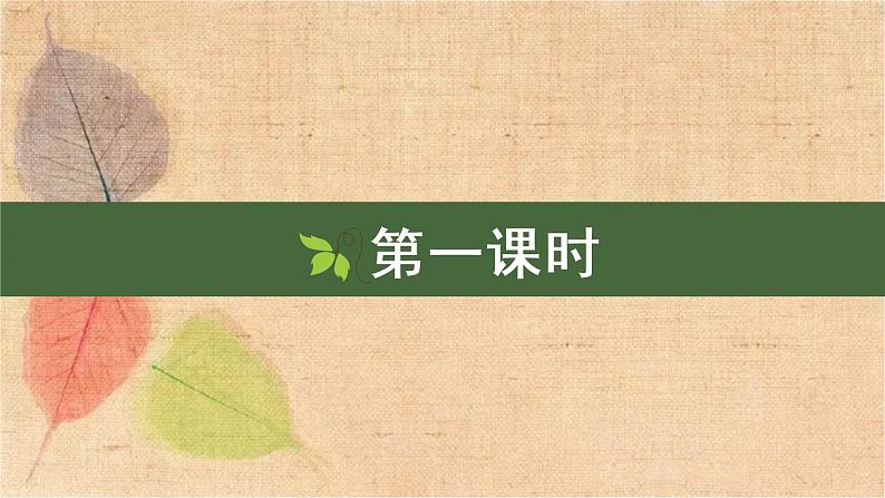 部编版语文四年级上册 10 爬山虎的脚 课件第2页