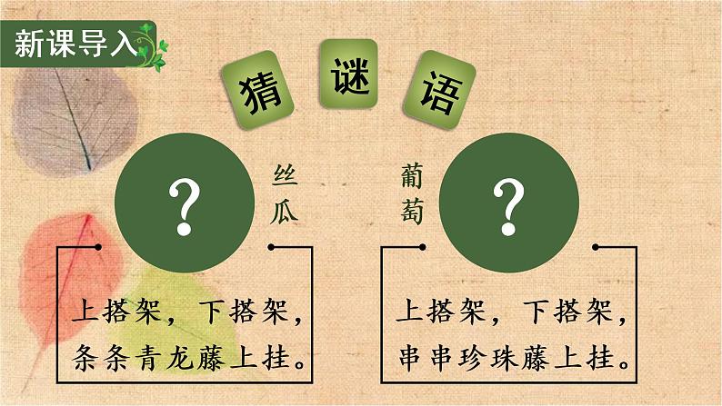 部编版语文四年级上册 10 爬山虎的脚 课件第3页