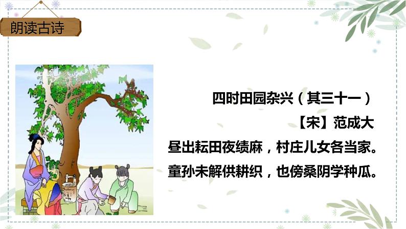 五年级语文下册部编版 1 古诗三首 四时田园杂兴(其三十一) 课件第8页