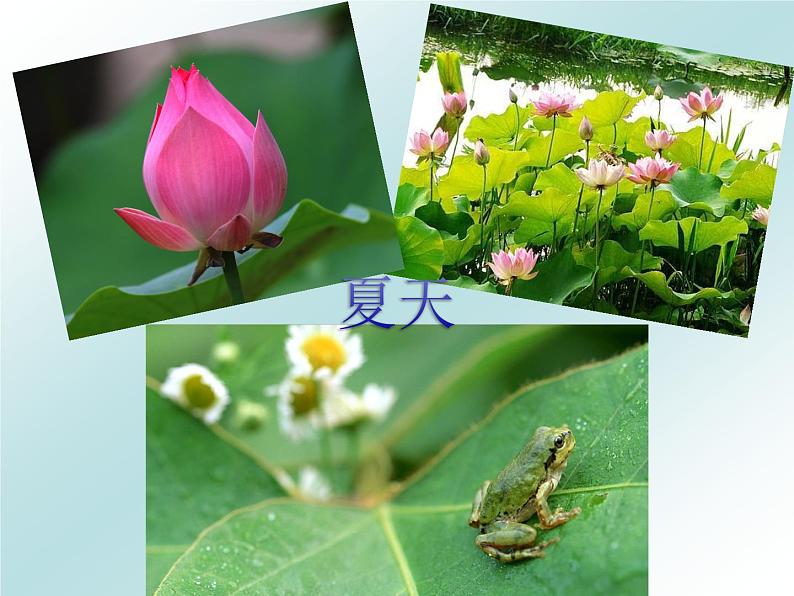 部编版一年级语文下册--1.春夏秋冬(课件1)第7页