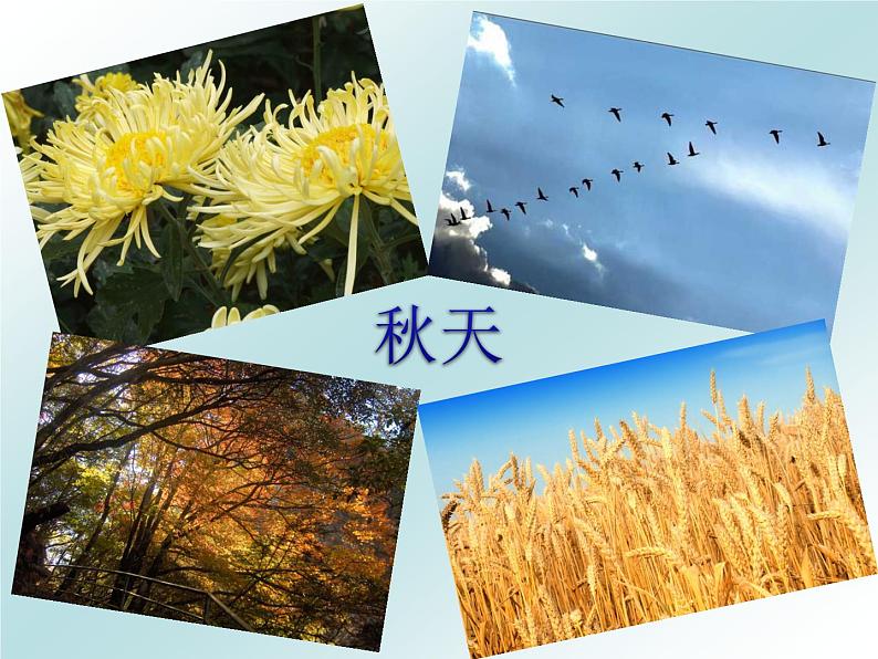 部编版一年级语文下册--1.春夏秋冬(课件1)第8页