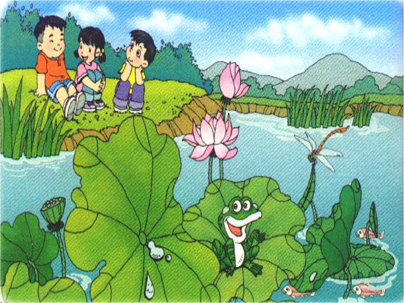 部编版一年级语文下册--13.荷叶圆圆(课件)第5页