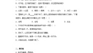 人教部编版二年级下册课文310 沙滩上的童话精练