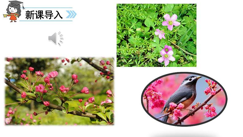 部编版二年级语文下册--2.找春天(课件2)第2页