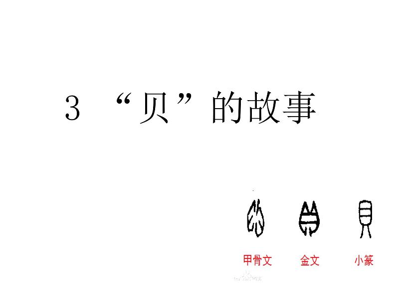 部编版二年级下册语文--3.“贝”的故事(课件2)01