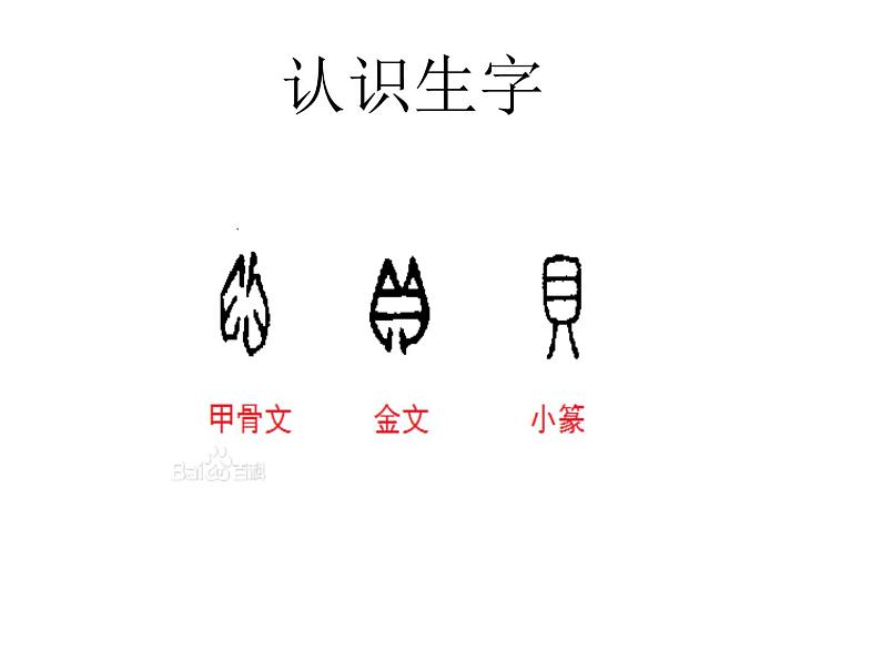 部编版二年级下册语文--3.“贝”的故事(课件2)02