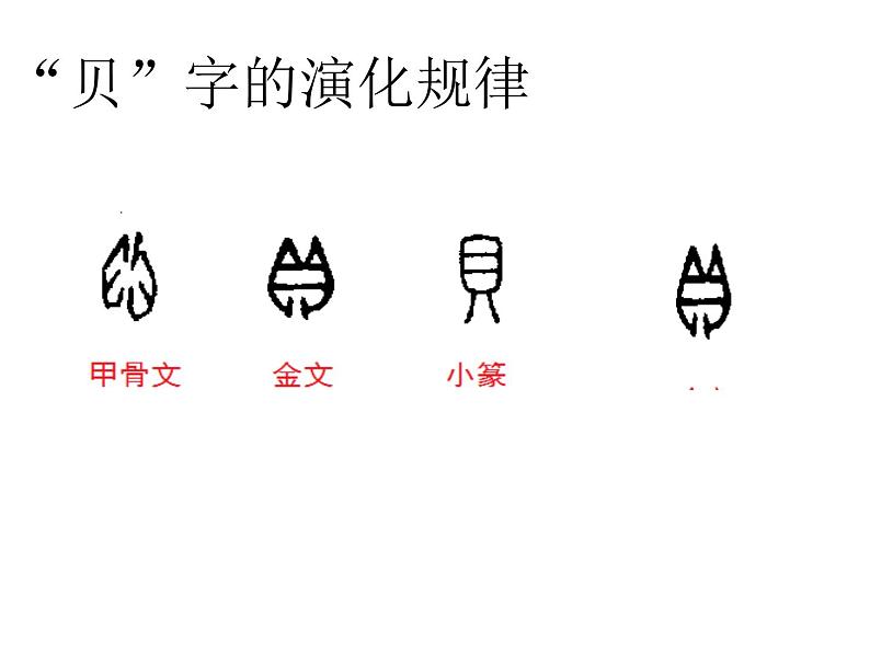 部编版二年级下册语文--3.“贝”的故事(课件2)04