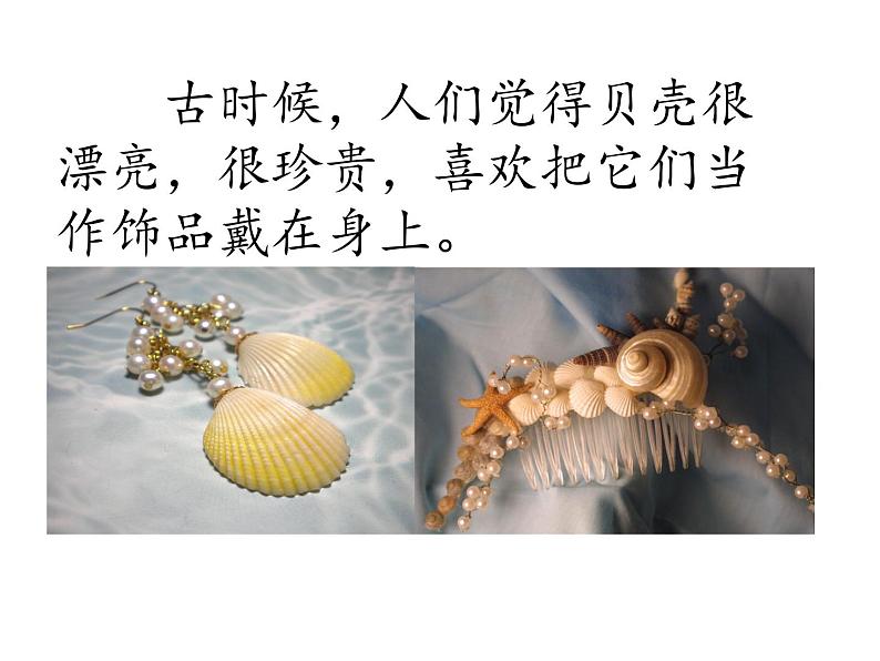 部编版二年级下册语文--3.“贝”的故事(课件2)07