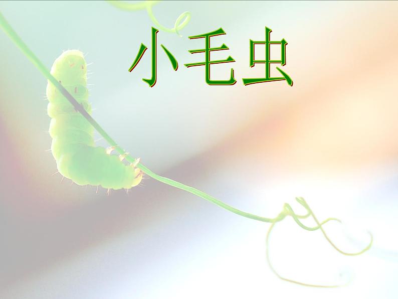 部编版二年级下册语文--22.小毛虫(课件2)第1页