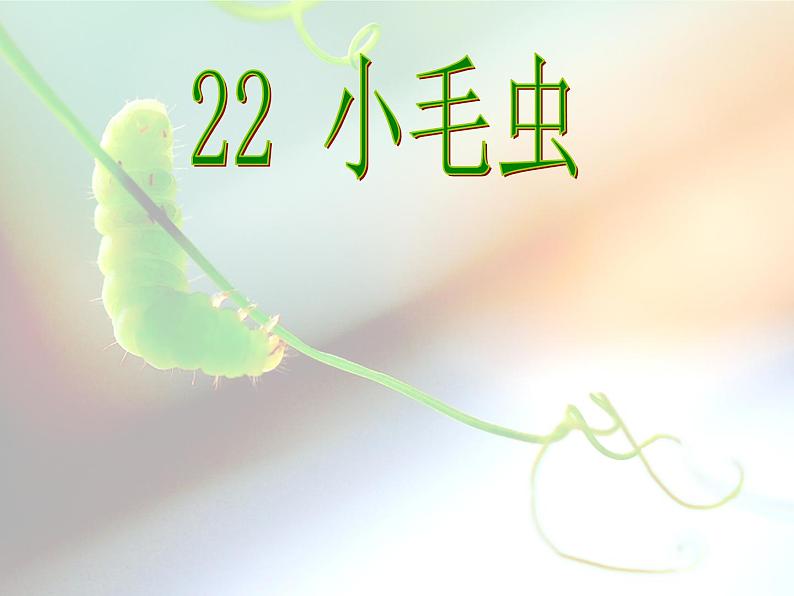 部编版二年级下册语文--22.小毛虫(课件2)第4页