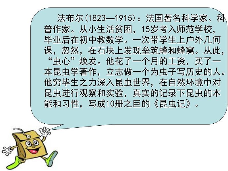 部编版三年级语文下册--14.蜜蜂(课件2)06