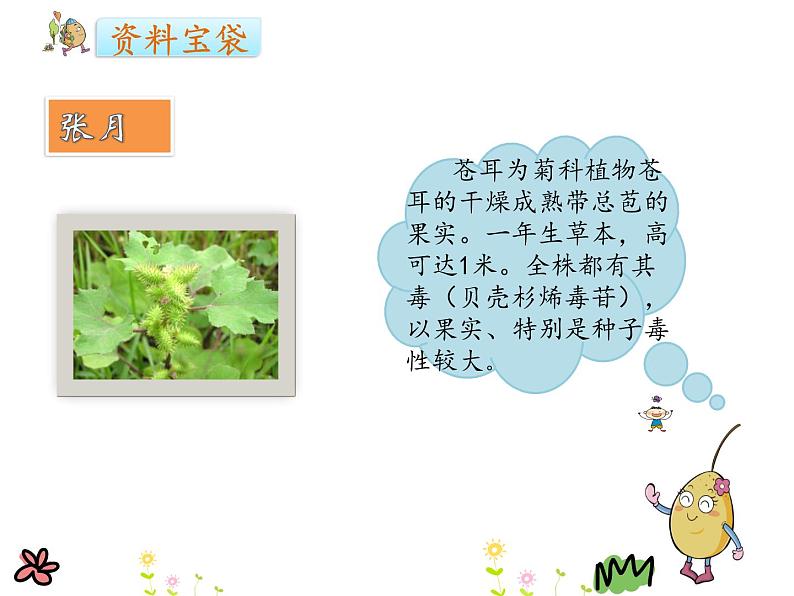 部编版二年级语文下册--11.我是一只小虫子(课件)第3页