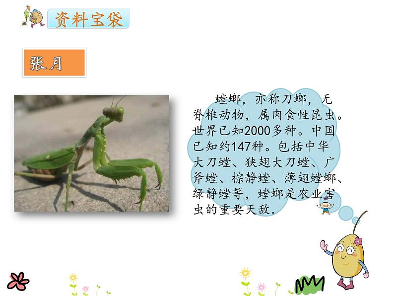 部编版二年级语文下册--11.我是一只小虫子(课件)第4页