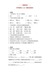 六年级语文上册   寒假作业 (14) [人教部编版