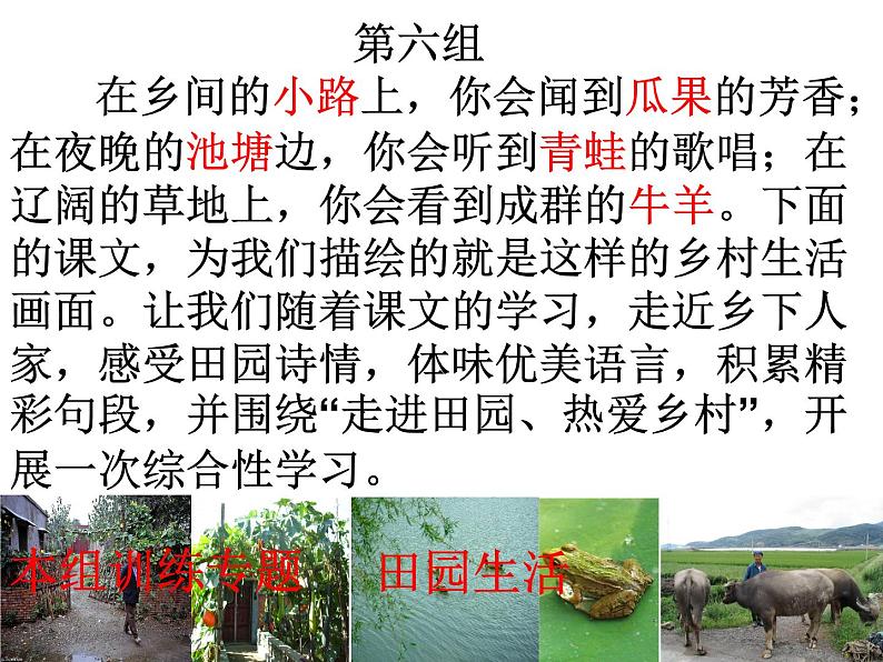 部编版四年级语文下册--2.乡下人家(课件4)第2页
