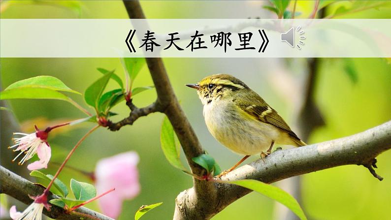 部编版二年级语文下册--2 找春天(课件)02