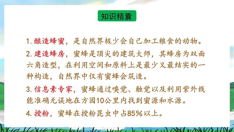 14 蜜蜂 课件+教案+导学案+课堂实录+素材04
