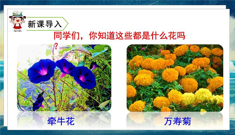 语文部编3下 第四单元 13.花钟 PPT课件02