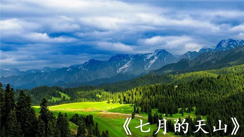 语文部编版四年级下册 第五单元 习作:游_______ PPT课件+教案08