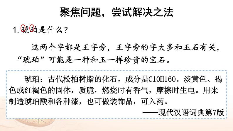 【人教部编版】四下语文 5 琥珀 (课件+教案)07