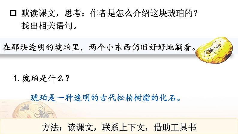 【人教部编版】四下语文 5 琥珀 (课件+教案)08