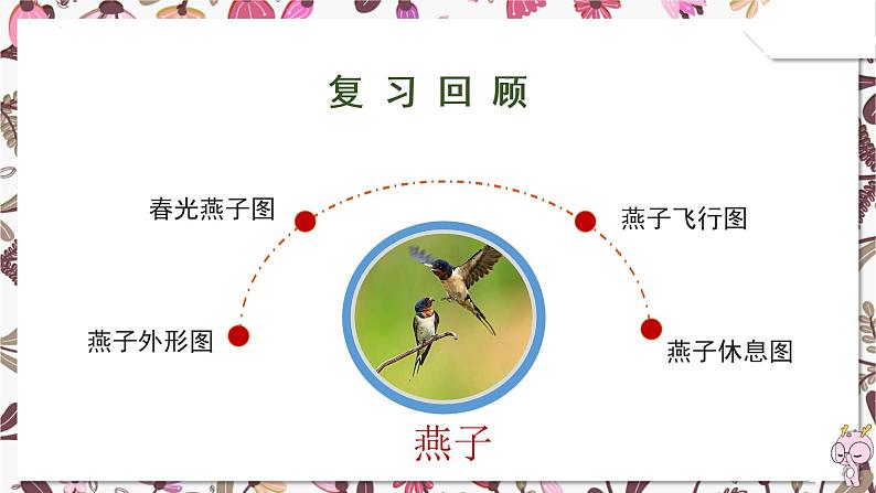 部编版语文三年级下册 第2课《燕子》(第二课时)课件第2页