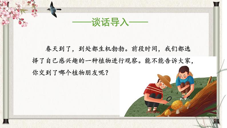 部编版语文三年级下册 第一单元 《习作:我的植物朋友》课件第3页