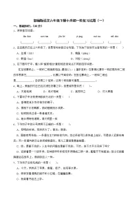部编版语文六年级下册小升初一轮复习试题（一）（陕西专用）