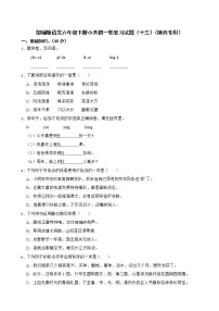 部编版语文六年级下册小升初一轮复习试题（十三）（陕西专用）