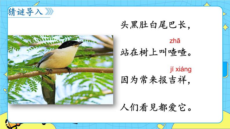 部编版(五四制)语文一下 6.《树和喜鹊》课件+教案+练习03