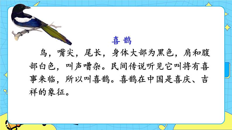部编版(五四制)语文一下 6.《树和喜鹊》课件+教案+练习04