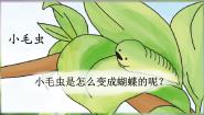 小学语文人教部编版 (五四制)二年级下册22 小毛虫完美版ppt课件