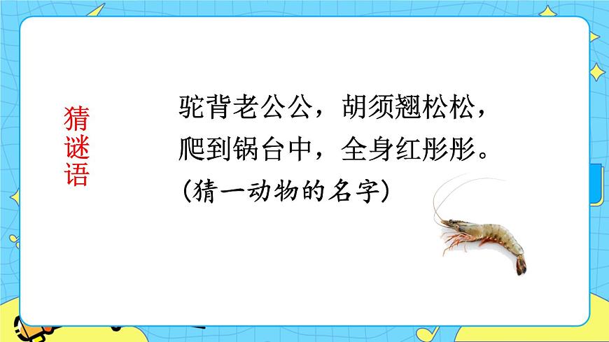 部編版(五四制)三下 15 小蝦 課件第1頁