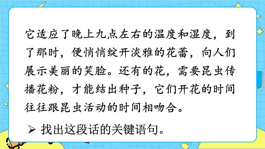 部編版（五四制）三下 語文園地四 課件第6頁